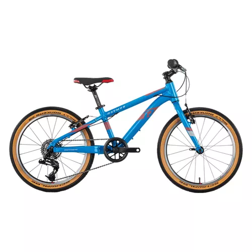 Bicicleta Copii Raymon TwoRay 3.0 - 20 Inch, 270 mm, Albastru