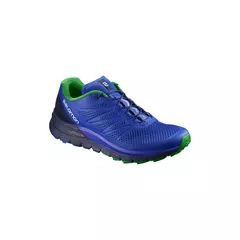 Pantofi Sport Barbati Salomon Sense Pro Max - albastru