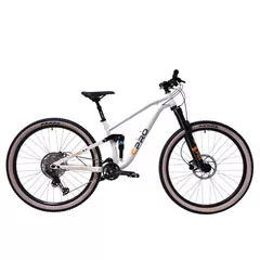 Bicicleta Capriolo 29 ALL-GO 9.7 grey light/black 